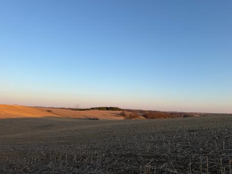 Tbd County Road 3 Zumbro Falls MN 55991