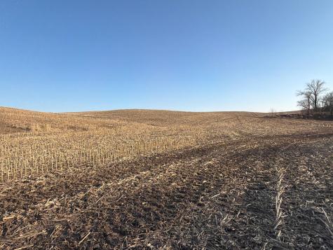 Tbd County Road 3 Zumbro Falls MN 55991
