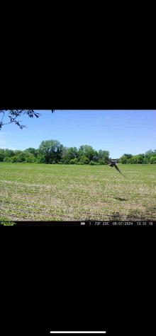 Tbd County Road 3 Zumbro Falls MN 55991