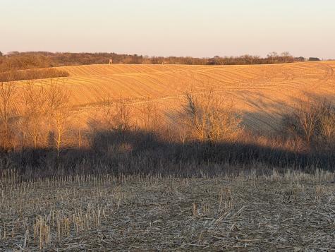 Tbd County Road 3 Zumbro Falls MN 55991