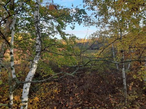 31538 County 23 Akeley MN 56433