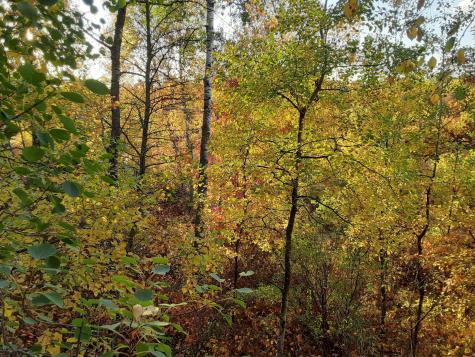 31538 County 23 Akeley MN 56433