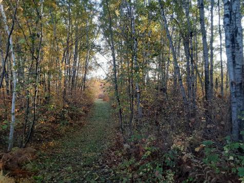 31538 County 23 Akeley MN 56433