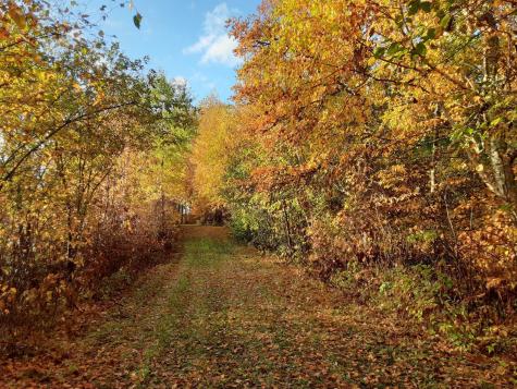 31538 County 23 Akeley MN 56433