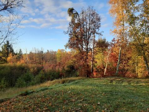 31538 County 23 Akeley MN 56433