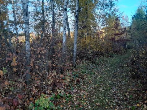31538 County 23 Akeley MN 56433