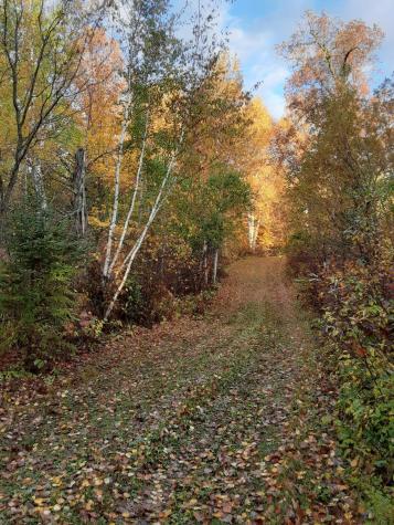 31538 County 23 Akeley MN 56433