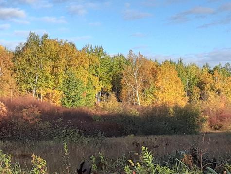 31538 County 23 Akeley MN 56433