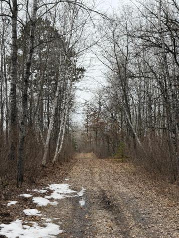 31538 County 23 Akeley MN 56433