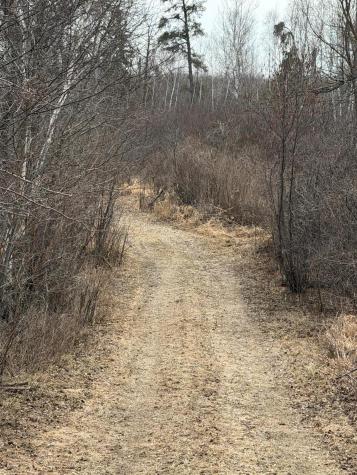 31538 County 23 Akeley MN 56433