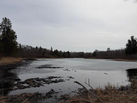 31538 County 23 Akeley MN 56433