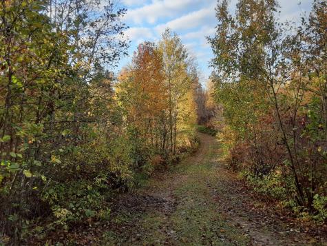 31538 County 23 Akeley MN 56433