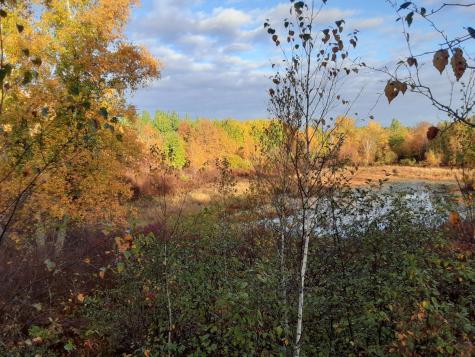 31538 County 23 Akeley MN 56433
