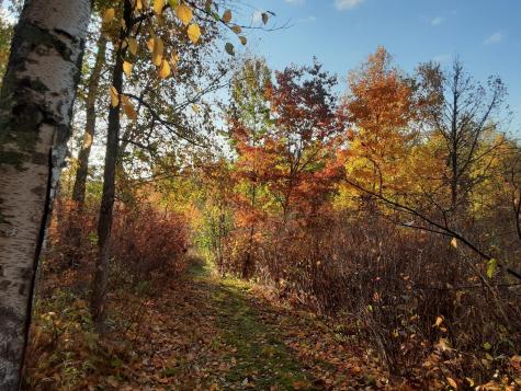 31538 County 23 Akeley MN 56433