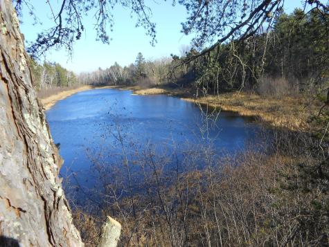 31538 County 23 Akeley MN 56433