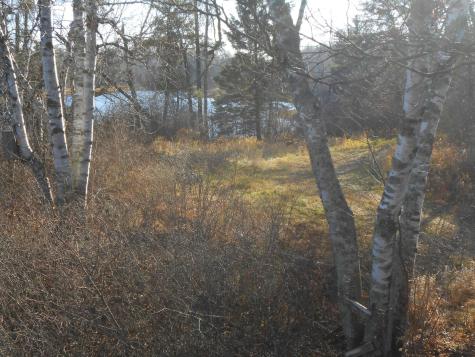 31538 County 23 Akeley MN 56433