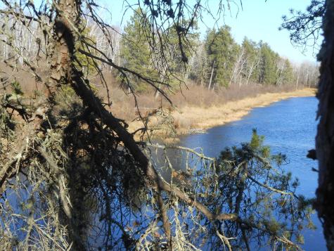 31538 County 23 Akeley MN 56433