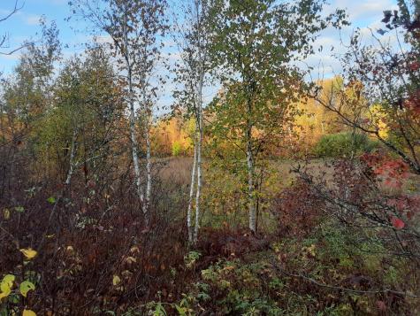 31538 County 23 Akeley MN 56433