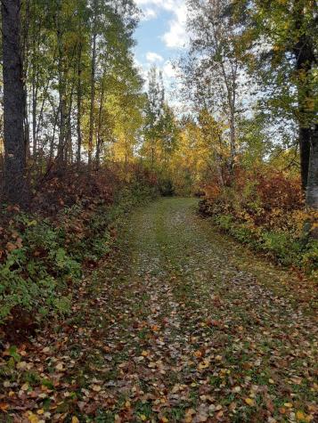 31538 County 23 Akeley MN 56433