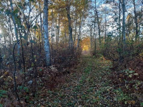 31538 County 23 Akeley MN 56433