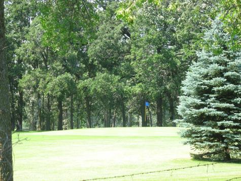 LOT1 Blk1 285th Battle Lake MN 56515