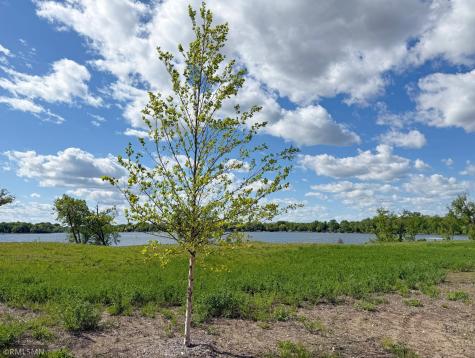 7560 Lake John Drive Annandale MN 55302