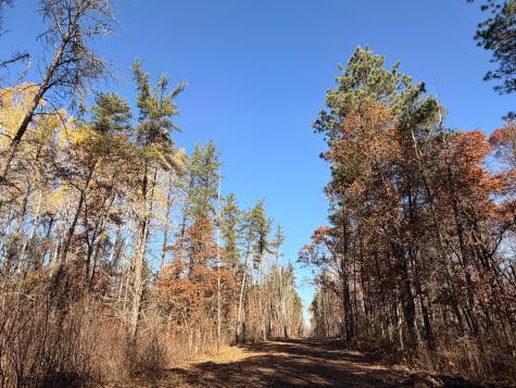Lot D Sandbar Lane Merrifield MN 56465