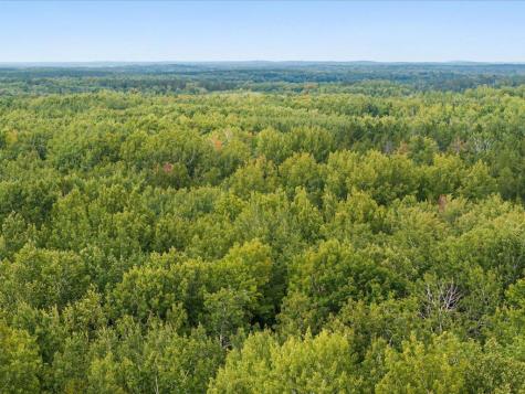 Lot D Sandbar Lane Merrifield MN 56465