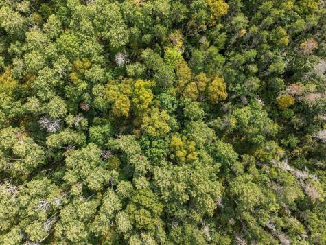 Lot D Sandbar Lane Merrifield MN 56465