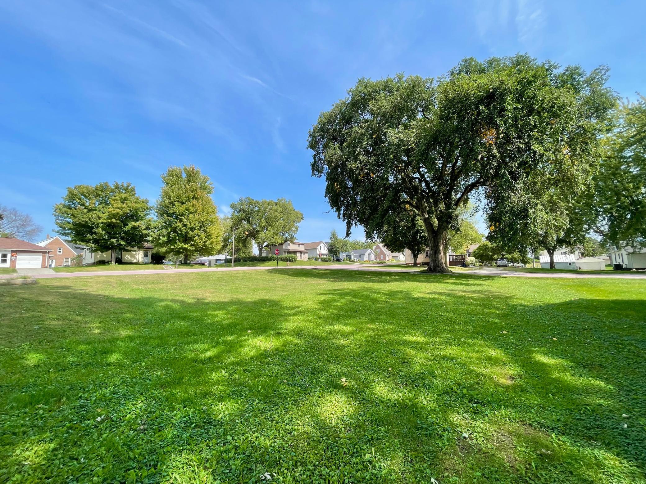 124 N Park Avenue Springfield MN 56087