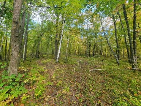 46686 40th Avenue Isle MN 56342