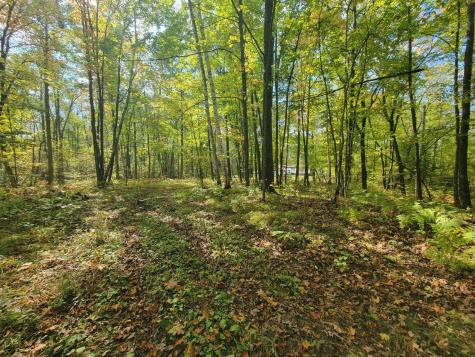 46686 40th Avenue Isle MN 56342