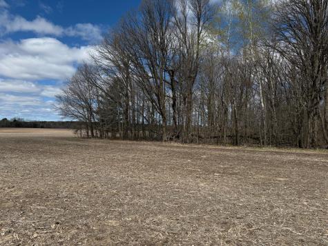 Na Na Pine City MN 55063