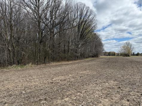 Na Na Pine City MN 55063
