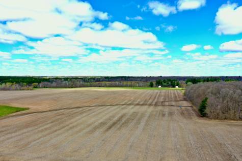 Na Na Pine City MN 55063