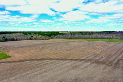 Na Na Pine City MN 55063