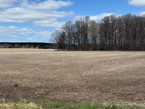 Na Na Pine City MN 55063
