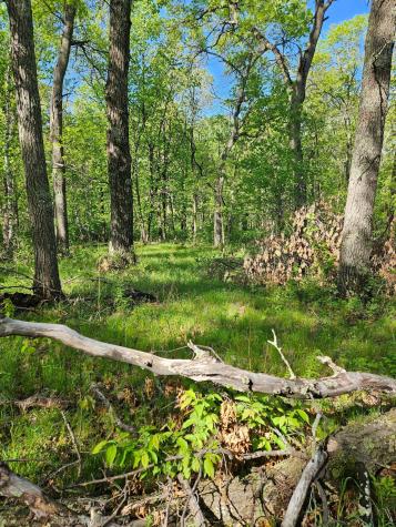 Tbd Lot 49, Blk 1 Huron Drive Breezy Point MN 56472