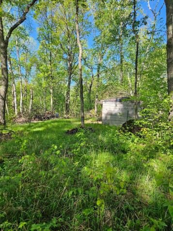 Tbd Lot 49, Blk 1 Huron Drive Breezy Point MN 56472