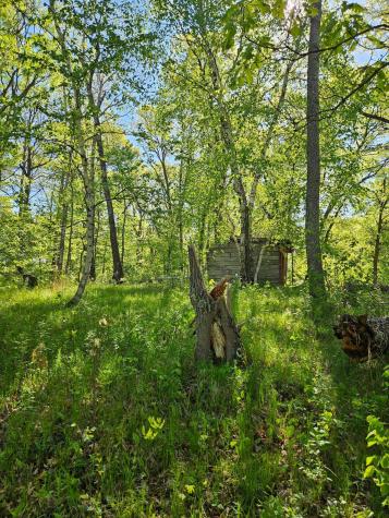 Tbd Lot 49, Blk 1 Huron Drive Breezy Point MN 56472