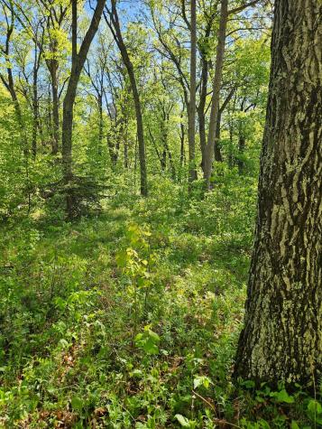 Tbd Lot 49, Blk 1 Huron Drive Breezy Point MN 56472
