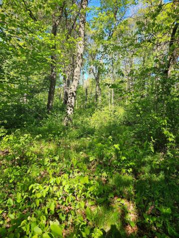 Tbd Lot 49, Blk 1 Huron Drive Breezy Point MN 56472