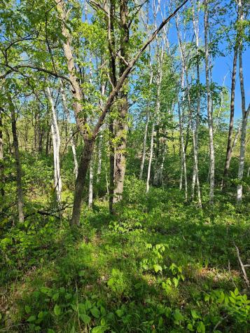 Tbd Lot 49, Blk 1 Huron Drive Breezy Point MN 56472