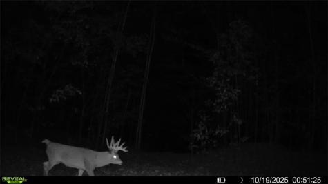 Block 2 Comet Exeland WI 54835