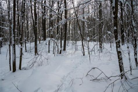 Block 2 Comet Exeland WI 54835