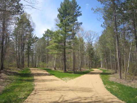 Lot 6 Among Forest & Lakes Drive Cass Lake MN 56633