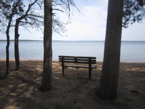 Lot 6 Among Forest & Lakes Drive Cass Lake MN 56633