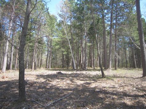Lot 6 Among Forest & Lakes Drive Cass Lake MN 56633