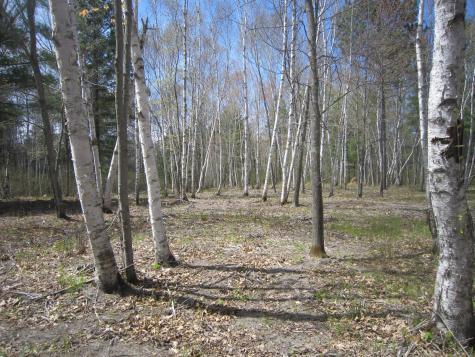 Lot 6 Among Forest & Lakes Drive Cass Lake MN 56633
