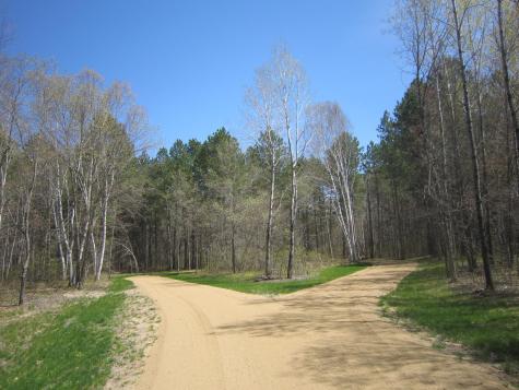 Lot 6 Among Forest & Lakes Drive Cass Lake MN 56633